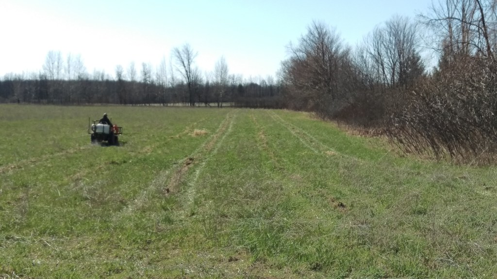 The field which will house the walnut orchard was prepared and sprayed to ensure that the saplings will have a chance to root and grow against any grasses, weeds, or invasive species