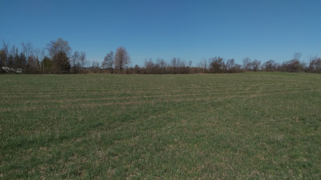 You can see the orchard rows running north to south.