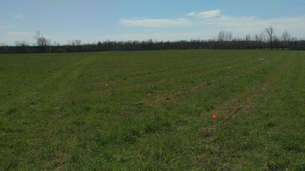 We have flagged/marked the rows to make it easier for us and the workers to find their way