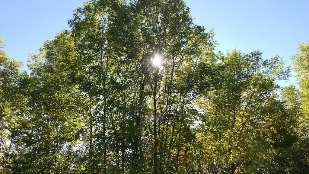 Another beautiful fall day at the farm affords us a productive and rewarding day of work.