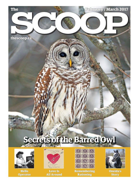 2017-february-march-cover-web