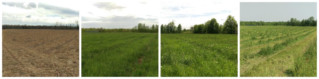 Feb-Apr-May-June Collage